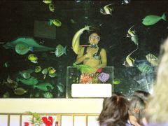 アロヒラニ リゾート ワイキキ ビーチ