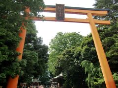 川越氷川神社は「家族円満の神様」、ご祭神に二組の夫婦神様が含まれていることから、縁結びのパワースポットとして女性にとても人気です。
大鳥居は、木製の鳥居としては高さ約15mで日本一の大きさです。