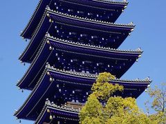 ●中山寺

中山寺の中でもとっても目を引く五重塔。
なんで、こんなに眩しく感じるのでしょう？？？