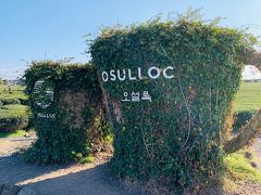 コレコレ ！




可愛く出来てるね～



でも