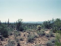 Saguaro National Monument.