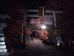 天丼腹一杯食べた後だったので、車酔いを心配しましたが、大丈夫でした。
車酔いするんですよね、自分の運転だと酔いませんけど。

秩父の御嶽神社はモミジ祭りが開催されていたのですが、さすがに終わっていました。ちょっとだけライトアップしてあったので写真撮影しました。