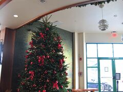 お昼ご飯は、大好きなニコスへ！
10年くらい前にアヒステーキ(レア)を食べ
盛大にお腹を下したトラウマがありますが
アヒのせいなのか私の体調が悪かったのかはわかりません。

ツリー、やはり大きいです。
去年とデザインが変わっています！！