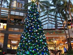 アラモアナショッピングセンターに戻りました。

ロングスドラックやロスドレスでお買い物。
ふらふらしていたらあっという間に薄暗くなりました。
フードランドでお土産と夜ご飯のポケを購入し、帰ります。

夜ご飯はお部屋で食べて、リゾート内のお店を見て…
明日は帰国日なので、お部屋でパッキングです。
スーツケース4つも持っていくのに、
いつもお土産が入りきりません。
手荷物が重いです。