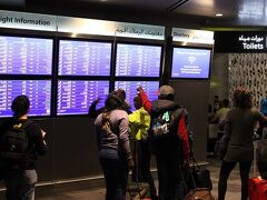 □バッタバタで旅の始まり

　羽田空港深夜0時10分発、カタールドーハ行きの便に乗り込んだ瞬間、爆睡して機内食も取り損ねた。この日赴任先から一時帰国した私は、夕方から上司と飲みに行き、羽田空港のカウンターに到着したのは出発の45分前で、「チェックインは出発60分前に完了させなければならない」と、カタール航空の地上職の女の人に軽く怒られてしまった。大変申し訳ないことをした気持ちでいっぱいだった。

 　数日前に持ち物リストや旅行前のTODOをまとめたリストを作っていたにも関わらず、その準備の時間もなく、手当たり次第必要なものをザックに詰め込んできた。とても不安。ジャケットは焼鳥屋臭いし、時間があれば羽田でシャワーを浴びたかった。

 　せっかくのB787ドリームライナーでの長距離飛行だったのに、眠っている間にあっという間にドーハのハマド国際空港に到着してしまった。映画もドリンクも機内販売も全てをスルーしてしまった自分が恐ろしい。それだけカタール航空の乗り心地が良かったという事でもある。