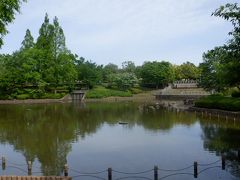 赤白の鯉の泳ぐ池の遊歩道を楽しみました。