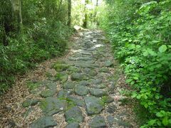苔がついた石畳は滑りやすかったので注意して進む必要がありました。ただ、そんな石畳はさらに風情がありました。