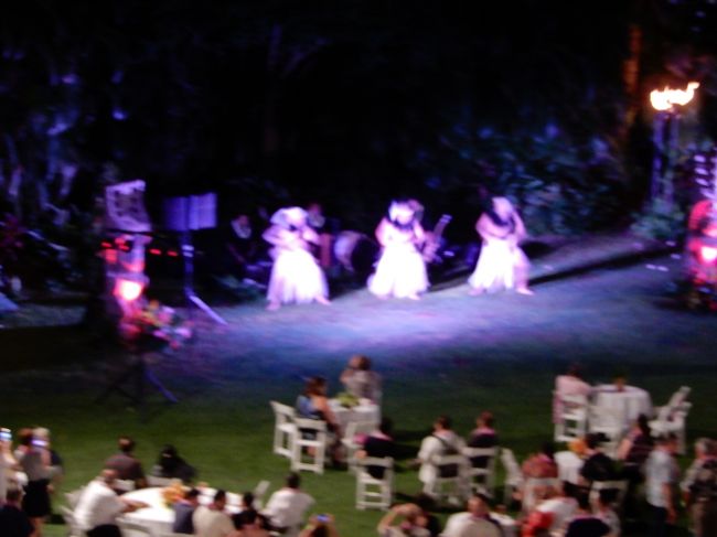 ショーは大体見える