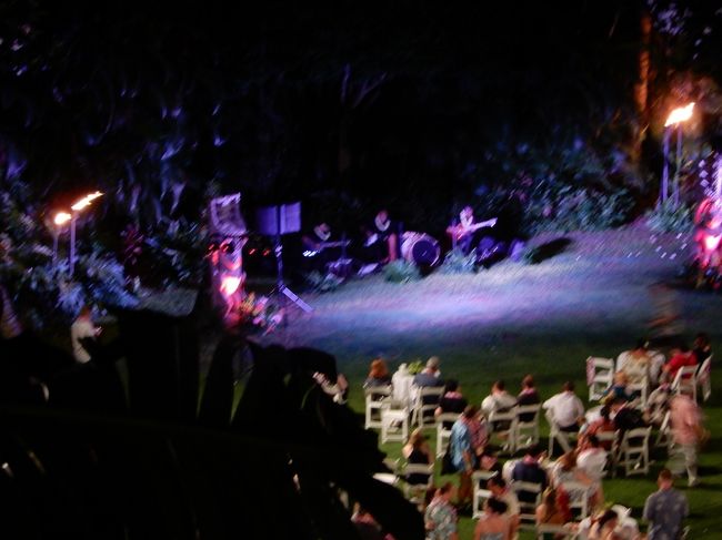 ショーもよく見える