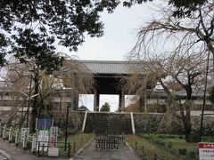 時刻は11:10

是政文化センターから多磨霊園駅に抜ける道を進むと立派な神社が見えて来ました。山門もとても立派です。地図によると東郷寺だそうです。