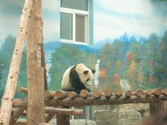 北京動物園