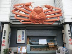 12:19
さて、鳥取と言えばカニである。

4トラ.とのっち様の旅行記でも登場した「お食事処 若林」。
今回の旅で色々と情報をくれた鳥取出身の知り合いも「カニを食べに行くなら若林がオススメ」と言っていた。
地元でも人気ある店なので、予約しておいたいい‥との事なので、予約を入れておきました。

↓若林商店
http://waka2443.com/