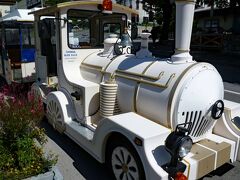 蒸気機関車の観光列車がブレッド湖畔を巡っています。料金は3Euroと高くはありませんので、乗ってみることにしました。