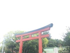 翌日は静岡浅間神社に行きました。