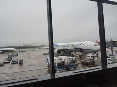 飛行機での移動