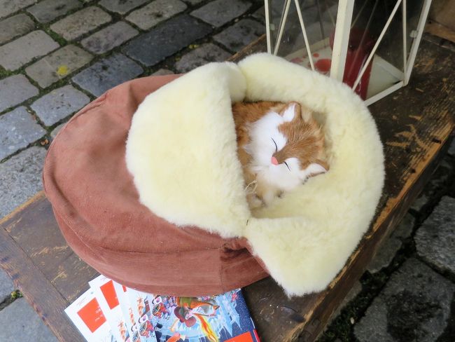 ホンモノのニャンと思っちゃった。（^^）