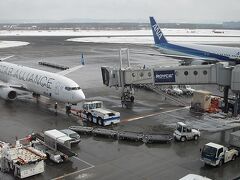   南千歳で乗換え新千歳空港に9時前に到着した。今回2週間の東南アジアの旅を共にする友人と合流した。外気温はマイナス5℃だった。常夏の東南アジアではダウンジャケットは荷物になると考え家に置いてきたので、がくがく震えるほど寒い。