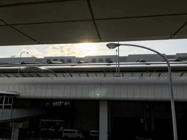 仕事明けで飛行機に乗りました！<br />NH473 13:15-16:05