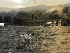 1972.9.24
野辺山～信濃川上間　西川鉄橋
