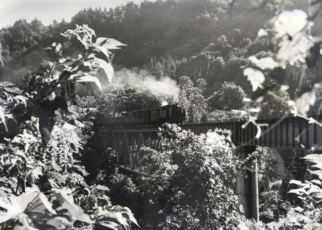1972年8月、夜行急行ばんだいで只見線C11を、思い出 』福島県の