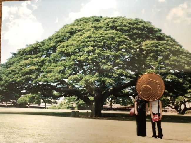 この～木なんの木気になる木<br /><br />この場所がわかったのは東芝の会社のツアー客だったってガイドさんが言ってました<br />CMは日立です