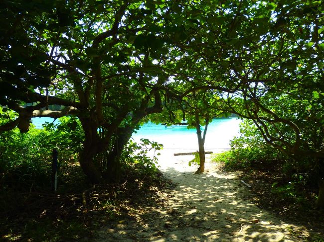 川平湾に来ました。