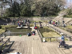 水生植物園（元調布浄水場跡地）
かつて調布浄水場があった場所です。大正時代から昭和時代まで多摩川から取水して東京に上水を供給していました。浄水場であったことを残すため、濾過池・沈殿池をなるべくそのままの形で水生植物園・植物園に転用し、地下貯水場は水生植物園への貯水に利用しているそうです。
