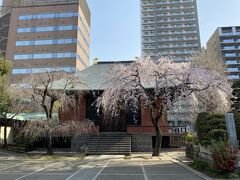 善性寺というお寺に来ました。

日蓮宗の寺で、大横綱双葉山や政治家石橋湛山の墓があるそうです。