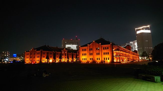 臨港パーク 赤レンガ 山下公園をランニング 夜景 日の出の横浜港と花の景色が最高 横浜 神奈川県 の旅行記 ブログ By しんさん フォートラベル