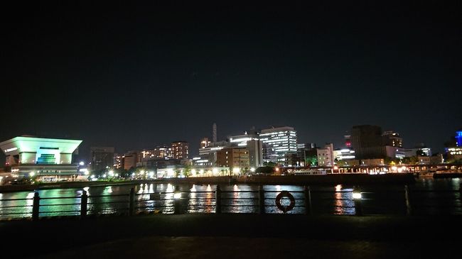 臨港パーク 赤レンガ 山下公園をランニング 夜景 日の出の横浜港と花の景色が最高 横浜 神奈川県 の旅行記 ブログ By しんさん フォートラベル