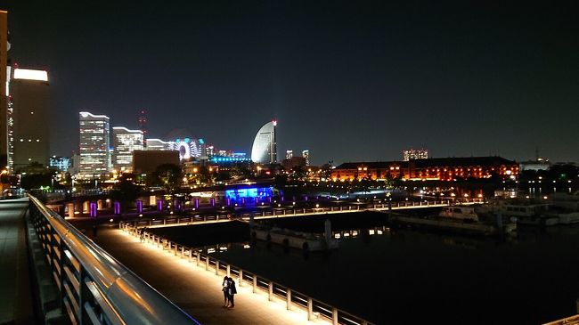 臨港パーク 赤レンガ 山下公園をランニング 夜景 日の出の横浜港と花の景色が最高 横浜 神奈川県 の旅行記 ブログ By しんさん フォートラベル
