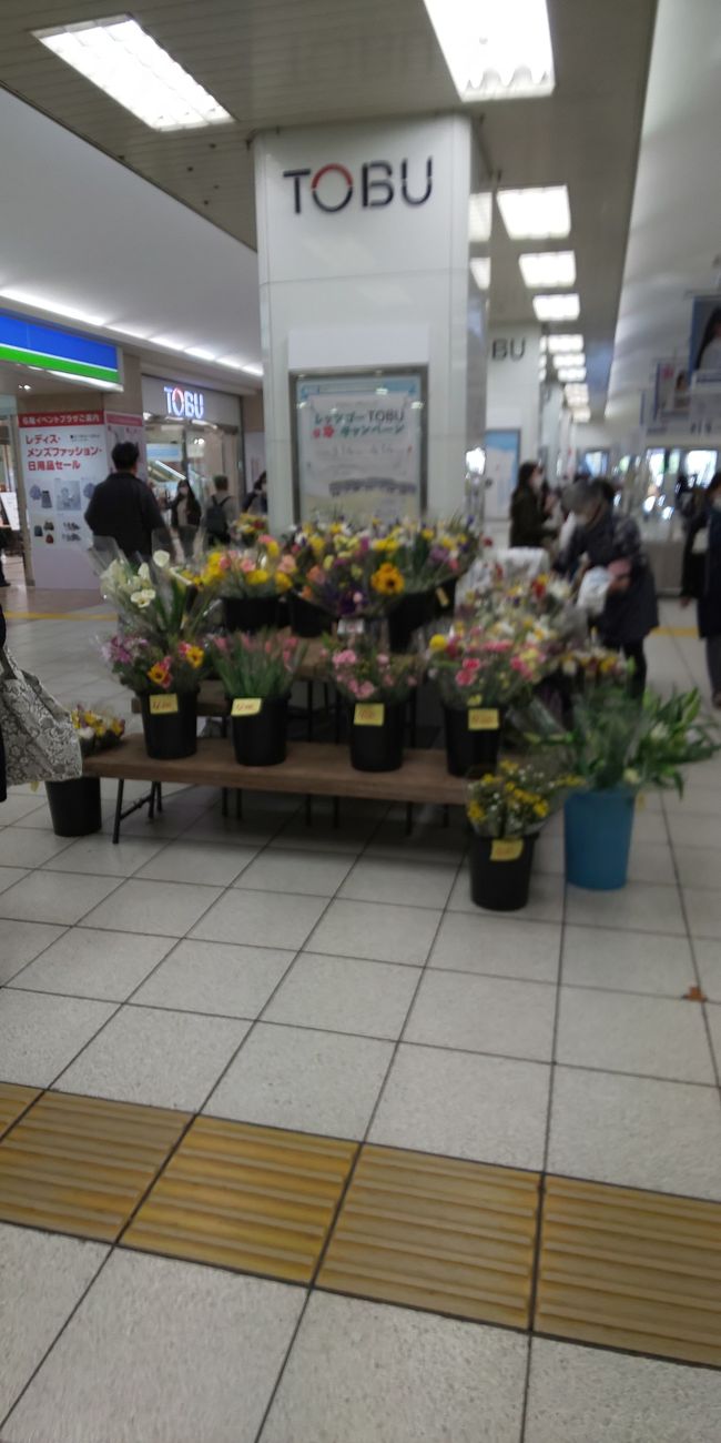 船橋と西船橋 船橋 習志野 千葉県 の旅行記 ブログ By ごりさん フォートラベル