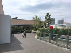 荒川区の図書館に立ち寄り、屋上にあるウッドデッキのテラスに出ました。
近くの荒川自然公園や、遠くの東京スカイツリーの姿がよく見えました。
