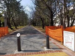 辰巳の森緑道公園
