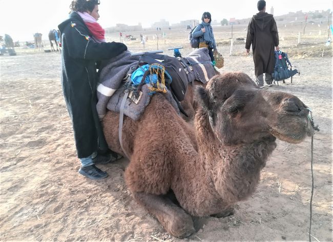 突撃 ジモティ ベルベル教室 オカンと味わう ディープな砂漠 アダルト娘と旅するモロッコ 7 Merzouga エルフード モロッコ の旅行記 ブログ By ウェンディさん フォートラベル