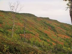 ９月中旬、銀泉台の美しい紅葉が日本一早いピークを迎えます。
