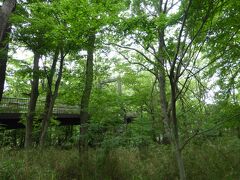 浅間山（せんげんやま）公園
東京都立の公園です。