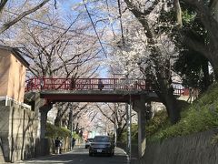 桜坂
所用で沼部駅に降り立ったので、目的地へ行く前に桜坂に寄り道。
桜の時期の沼部と言えば「桜坂」ですから・・・
せっかく近くまで来たので寄ってみると、ちょうど桜がきれいに咲いていて、日曜日とあってか、若い人たちが大勢来ていました。

