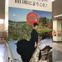 2018 盛夏の長州路をゆく《Part.1》～大内文化が香る西の京・山口探訪～