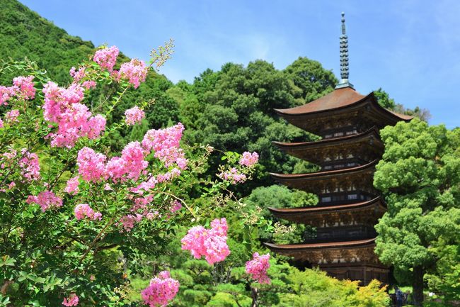 18 盛夏の長州路をゆく Part 1 大内文化が香る西の京 山口探訪 山口市 山口県 の旅行記 ブログ By 葵さん フォートラベル