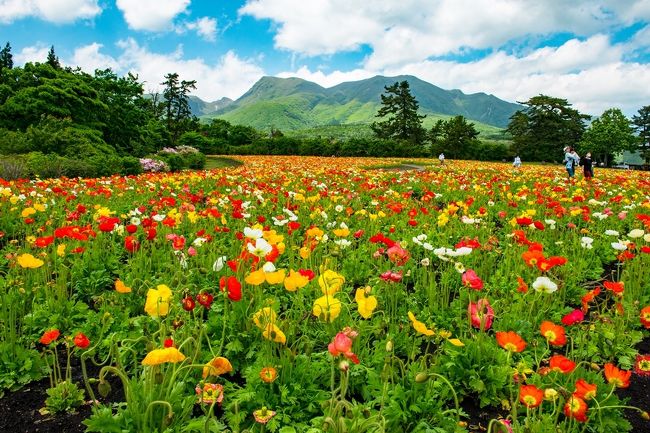 水彩画　くじゅう連山 水彩画くじゅう連山