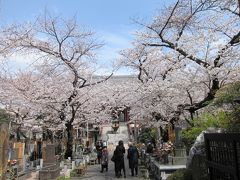 「浄心寺」