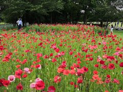 東村山中央公園