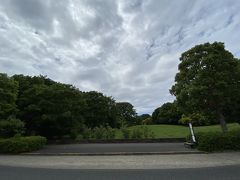 更に南下していくと深大寺の緑地が。
現在は公園を含め植物園は閉園となっています。
この辺りも最近は来ていませんが私のジョギングコースのひとつです。