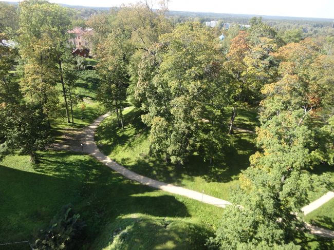 敷地の周囲は木々に囲まれています。