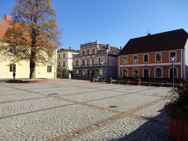 バラ広場です。