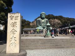 １６＜鎌倉大仏＞
江ノ電・江の島駅から長谷駅に移動し、高徳院近くの「味亭」で昼食。
ゆばめし御膳をいただいたあと、鎌倉大仏へ参拝。（もう５回目位？）
大仏様は、現在は露座ですが、かつては大仏殿のなかにいらっしゃいました。1495年の大津波で建物が流されて以来、500年以上も雨風にさらされながら当初のままの姿で鎮座されています。本当にお疲れ様です。


