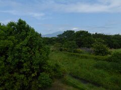 大山
相模三川公園、さくら橋にて