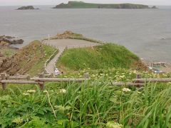 岬めぐりコースは、最北端スコトン岬からゴロタ岬、澄海岬を抜け浜中へと続く全長約13km、所要時間約5時間のコースです。