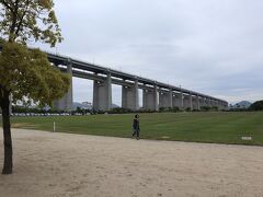 沙弥島（しゃみじま）に到着
瀬戸大橋の付け根です。
上段が自動車道、下段が鉄道